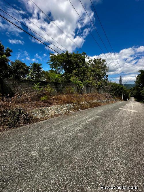 FINCA DE 20 TAREAS DE VENTA EN LOMA LINDA, PEDRO BRAND