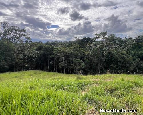 SOLARES DE VENTA EN BUENA VISTA JARABACOA
