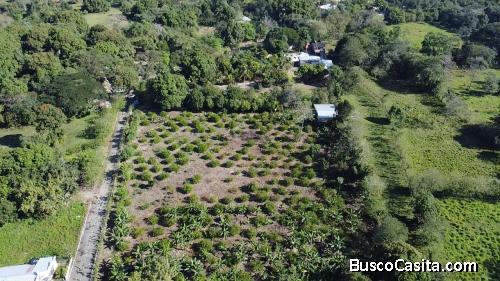FINCA CON UNA VILLA DE VENTA EN BONAO