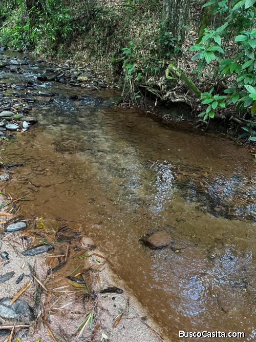 FINCA DE 21 TAREAS DE VENTA EN BONAO