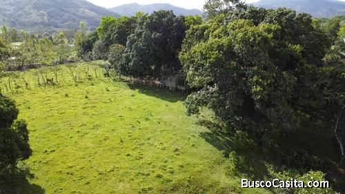 FINCA DE 25 TAREAS DE VENTA EN BONAO