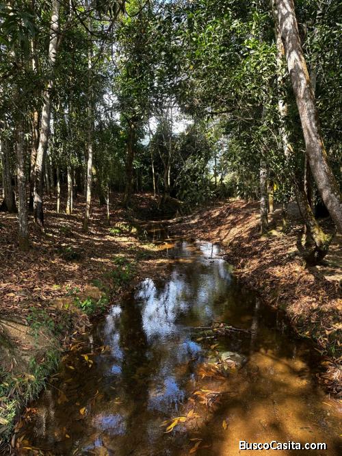 TERRENO DE 16 TAREAS DE VENTA EN VILLA ALTAGRACIA