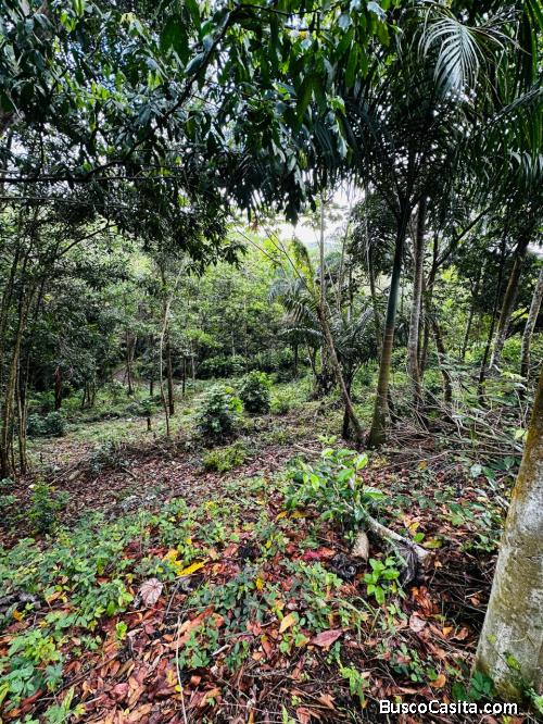 SOLAR DE VENTA EN VILLA ALTAGRACIA