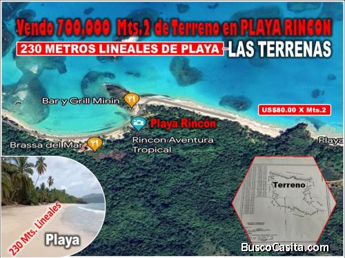 VENDO 700,OOO  Mts.2, con 230 metros lineales de Playa, Playa Rincón , LAS TERRENAS