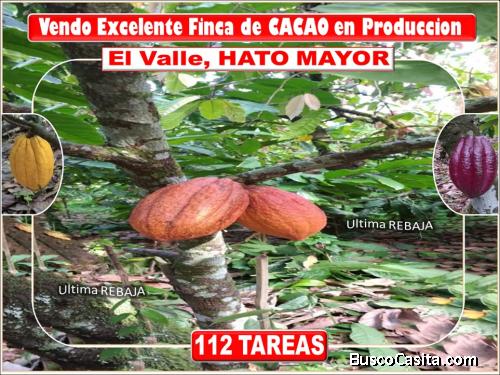 ULTIMA REBAJA en Finca de CACAO, 112 tareas, El Valle de HATO MAYOR, Precio PRECIO