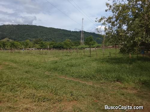 FINCA DE 90 TAREAS DE VENAT EN BONAO