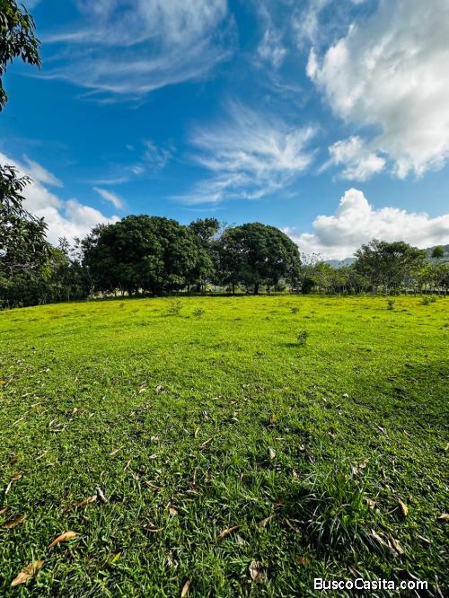 FINCA DE 25 TAREAS DE VENTA EN BONAO