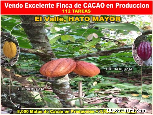 ULTIMA REBAJA en Finca de CACAO en PRODUCCION, 112 tareas, en El Valle de HATO MAYOR, Super Oportun
