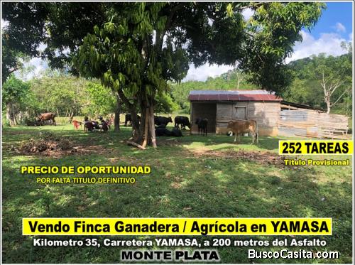 SE VENDE FINCA 252 TAREAS EN EL KM. 35 DE YAMASA, SUPER REBAJADA, SOLO 7.8