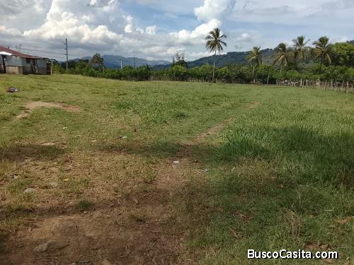 FINCA DE 90 TAREAS DE VENAT EN BONAO
