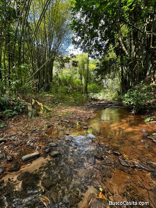 FINCA DE 21 TAREAS DE VENTA EN BONAO