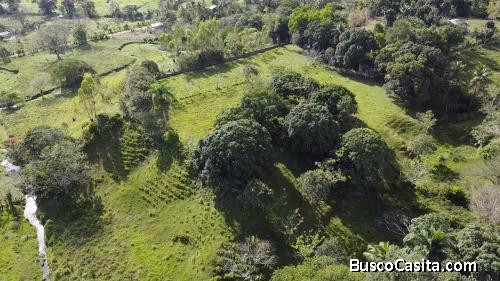 FINCA DE 25 TAREAS DE VENTA EN BONAO