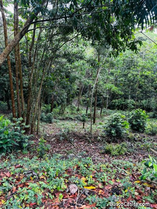 SOLAR DE VENTA EN PROYECTO ECOTURISTICO DE VILLA ALTAGRACIA