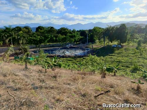 FINCA DE 202 TAREAS DE VENTA EN BONAO