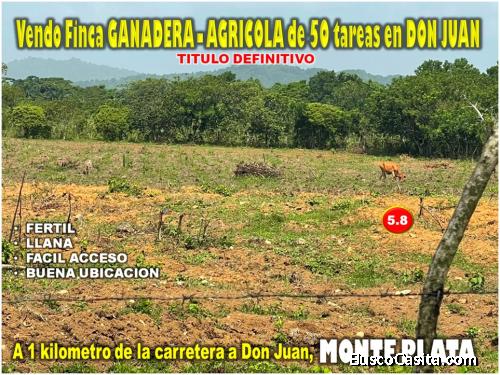 Vendo Finca GANADERA – AGRICOLA de 50 tareas en DON JUAN, MONTE PLATA