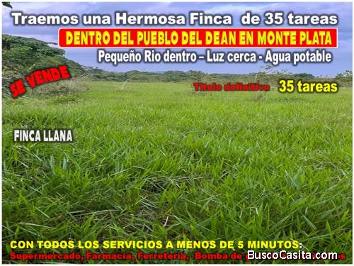 Vendo Finca GANADERA – AGRICOLA de 35 tareas dentro del DEAN, MONTE PLATA