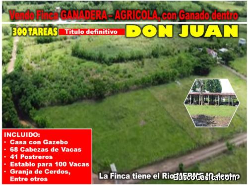 Vendo SUPER Finca Ganadera y Agrícola, 300 Tareas en Don Juan, Monte Plata, con GANADO DENTRO y OTRO