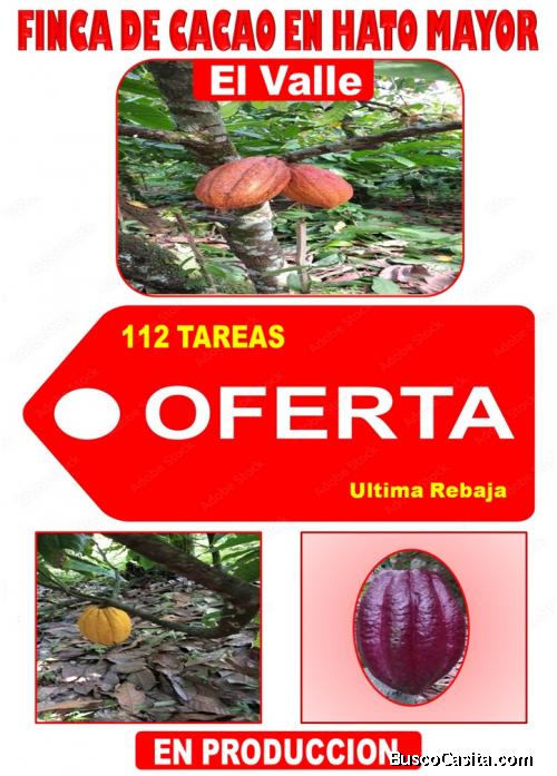 ULTIMA REBAJA en Finca de CACAO en PRODUCCION, 112 tareas, en El Valle de HATO MAYOR,  Super Oportun