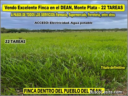 Vendo Finca GANADERA – AGRICOLA de 22 tareas dentro del DEAN, MONTE PLATA