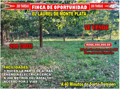 Vendo Finca GANADERA – AGRICOLA de 200 tareas en el LAUREL, Monte Plata
