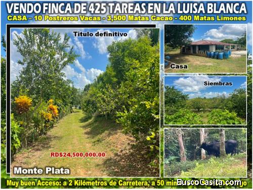 Vendo Finca de Ganadera – Agrícola en LA LUISA BLANCA, 425 tareas, con Casa