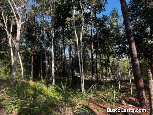 SOLAR DE VENTA EN JARABACOA