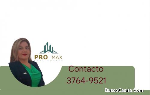 Ligia  Lutin