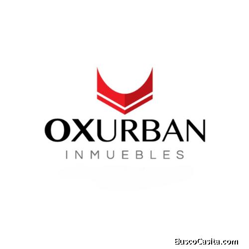 Ox Urban