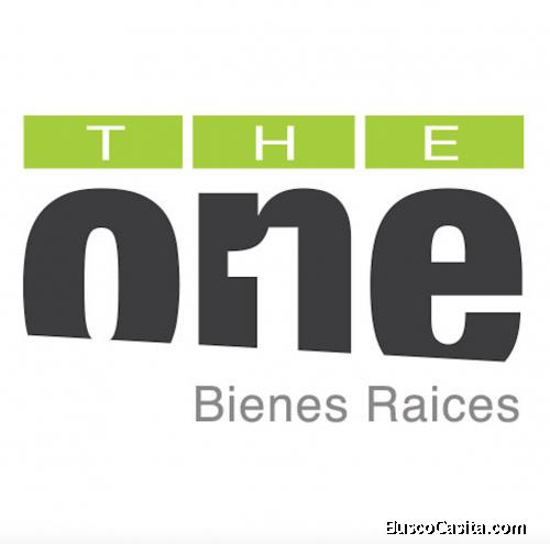 THE ONE Bienes Raices