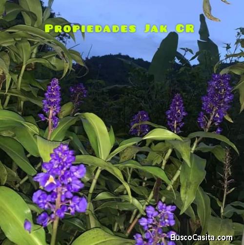 Propie Jak CR Jak CR