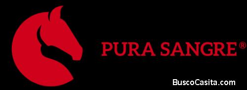 Grupo Pura Sangre