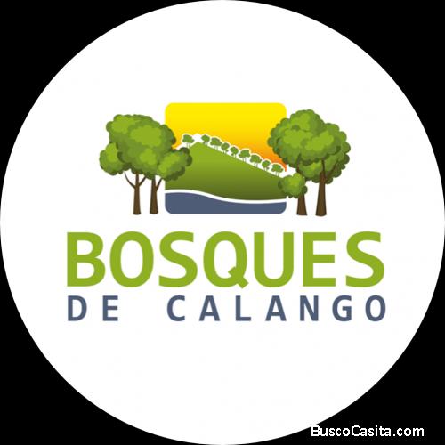 NESTOR ALAIN IGLESIAS PANIAGUA