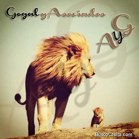 ANDREA  Gomez Garcia De Leon