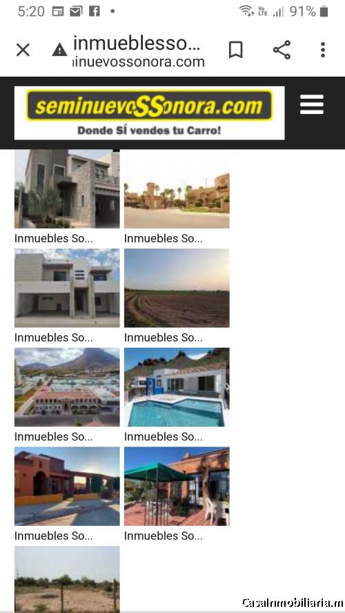 ALFREDO  MUNRO FLORES