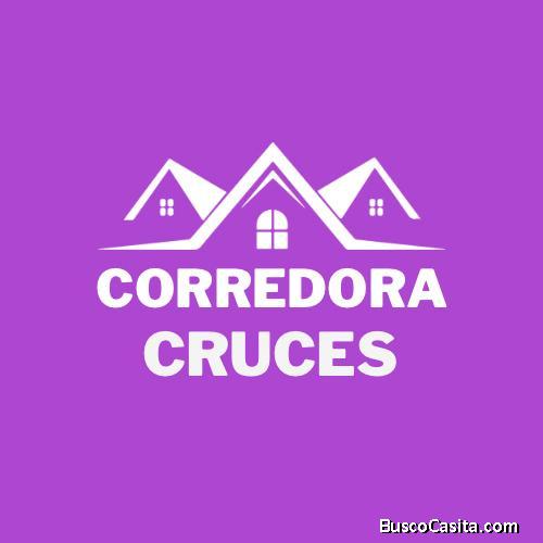 LOREDANA  CRUCES