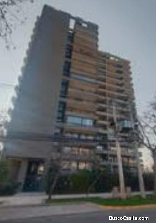 Makarena  Fernandez Vidal