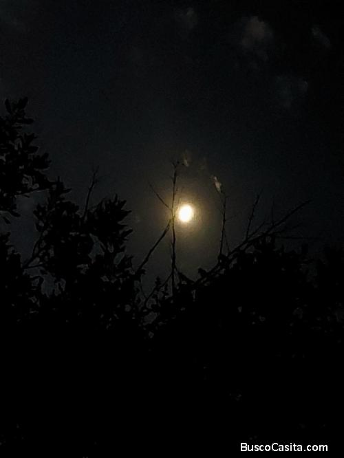 Bruno Naranjo Armijo