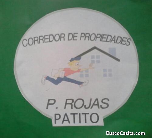 Patricio Rojas