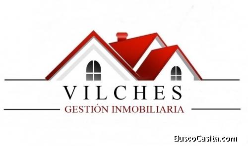 Andres Vilches