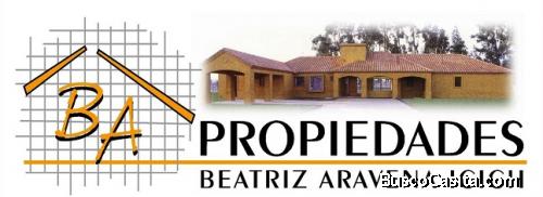 Beatriz Aravena