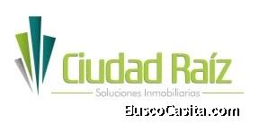 Ciudad Raiz