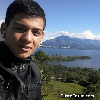 Yoiner Daniel  Plata Restrepo