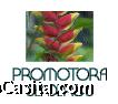 promotora senderos S.A.S
