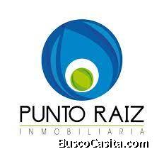 PUNTO RAIZ