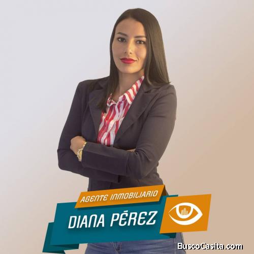 Diana carolina PEREZ RINCONES