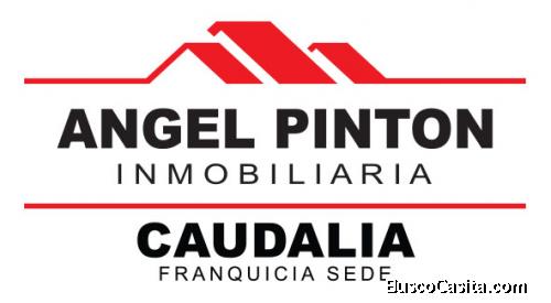 Angel Pinton Inmobiliaria