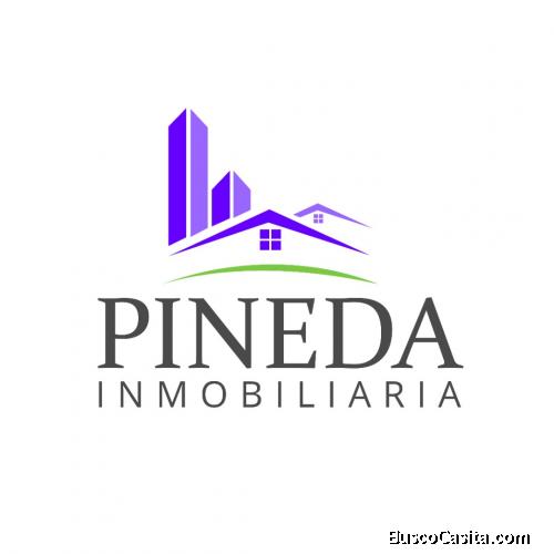 inversiones y suministros pineda inmobiliaria 