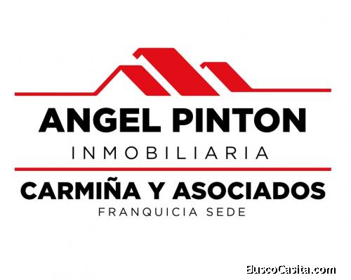 Angel pinton inmobiliaria