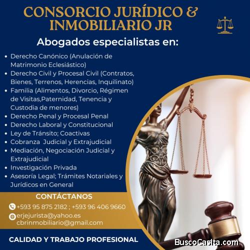 CONSORCIO JURIDICO & INMOBUILIARIO JR