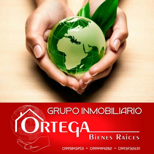 GRUPO INMOBILIARIO ORTEGA